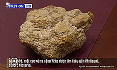Một người "lụm" được cục đá chứa 2,6kg vàng