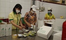Nữ đảng viên dấn thân, sáng tạo