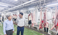 Cận cảnh 2 nhà máy giết mổ công nghiệp quy mô lớn ngày đầu tiên hoạt động ở TP HCM