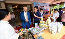 Phát triển chuỗi liên kết, nâng tầm thủy sản Việt Nam