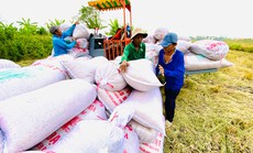 Nâng cao vị thế cho nông dân
