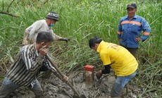 NÓI THẲNG: FORIMEX không được phép làm xã hội mất thời gian
