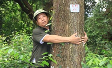 Giá trị lớn từ rừng sến Tam Quy