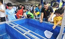 Đi Lễ hội Cá cảnh TP HCM, khách được vớt cá cảnh miễn phí về nuôi
