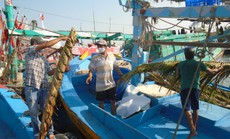 Làm "nhà" cư ngụ cho cá