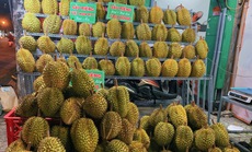Sầu riêng ế khách, bán cả ngày chỉ có vài người hỏi mua