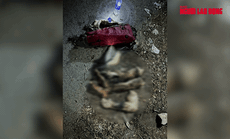 VIDEO: Kinh hoàng vụ án phân xác ở Bình Dương