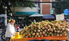 Thất thường thị trường trái cây trong nước
