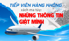 Tiếp viên hàng không xách ma túy: Những thông tin giật mình