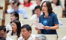Đại biểu Quốc hội: Đánh giá kỹ hiệu quả của Quỹ bình ổn giá xăng dầu