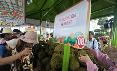 Sầu riêng, măng cụt giá rẻ bất ngờ tại Lễ hội Trái cây Nam Bộ