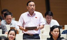 Ngăn sở hữu chéo, thao túng ngân hàng