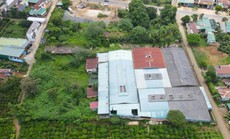 Lâm Đồng: Chưa thể thu hồi đất dự án của Công ty Trung Nguyên