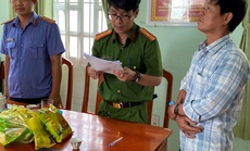 Chủ cửa hàng xe máy làm giả giấy tờ mua trả góp, chiếm đoạt hơn 10 tỉ đồng