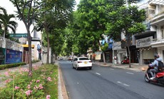 Những người làm hoa cho đất: Nguyễn Đình Chiểu - Cây bút chở Đạo và trừ gian