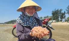 Ngư dân Thanh Hóa lao ra biển mưu sinh dưới trời nắng như "đổ lửa"