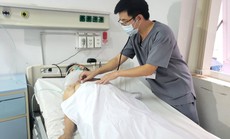 Ăn nấm mọc từ xác nhộng ve sầu, 6 người nhập viện
