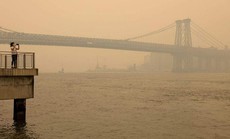 Mỹ: TP New York bỗng dưng gặp họa lớn
