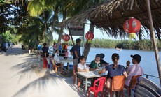 Dạo chơi trong rừng dừa Cà Ninh