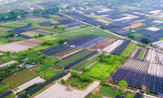 Xanh hóa nông nghiệp thủ đô