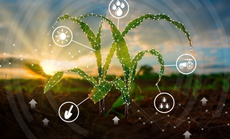 TTC AgriS thúc đẩy xu hướng thực phẩm Plant-based