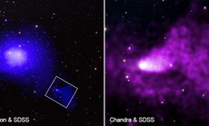 NASA chụp được “quái vật” khủng khiếp nhất vũ trụ, nuốt cả cụm thiên hà