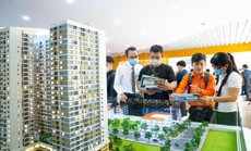 3 hướng sinh lợi nhuận hấp dẫn của Legacy Prime