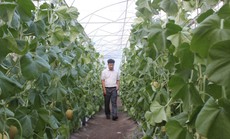 Tăng giá trị sản phẩm nhờ sản xuất sạch