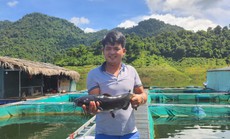 Nuôi cá an toàn sinh học, "hái quả ngọt"