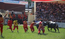 Hàng vạn du khách nườm nượp tới Đồ Sơn xem Lễ hội chọi trâu