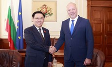 Việt Nam - Bulgaria cải thiện cán cân thương mại