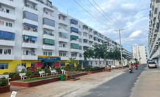 Thỏa khát vọng "an cư lạc nghiệp"