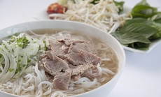 Saigontourist Group đồng tổ chức sự kiện Vietnam Phở Festival 2023 tại Nhật Bản