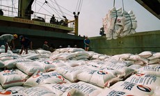 Xuất khẩu nông, lâm, thuỷ sản đạt hơn 38 tỉ USD