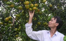 Co.opmart mới khai trương khuyến mãi lớn