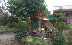 Nhà trưởng ấp treo cờ Trung Quốc