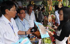 Thiết thực, hiệu quả