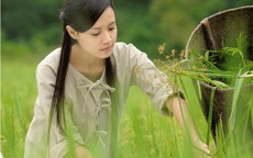 327 phim tham dự LHP Quốc tế Hà Nội lần 3
