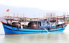 Một tàu câu mực khơi trúng 2,4 tỉ đồng