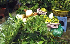 Rau rừng trở thành đặc sản