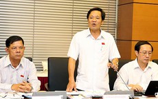 Phải xử hình sự pháp nhân