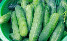 Làm đẹp, chữa bệnh bằng dưa leo