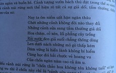 Sách mẫu đầy... sạn!: Cắt nghĩa bậy, diễn đạt sai