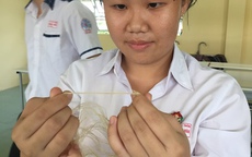 Sản xuất vải, bao bì, thắt lưng… từ lá khóm