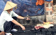 Ăn heo rừng ở TPHCM coi chừng là heo nái
