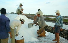 Muối ế trắng đồng, kho dự trữ hoang phế