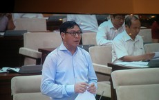 "Níu" quy hoạch lúa gạo để cho ai xuất khẩu gạo thì được xuất