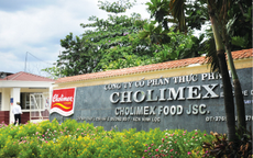 Cholimex đầu tư vào địa ốc