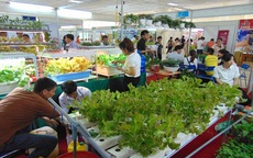 Tuần lễ giới thiệu sản phẩm tại Tây Ninh