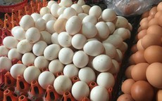 Quả trứng “gánh” 14 loại phí, quả chanh “đội giá” 100 lần